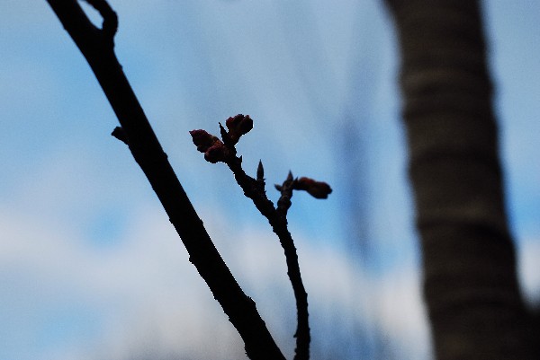 e0020166_2013834.jpg