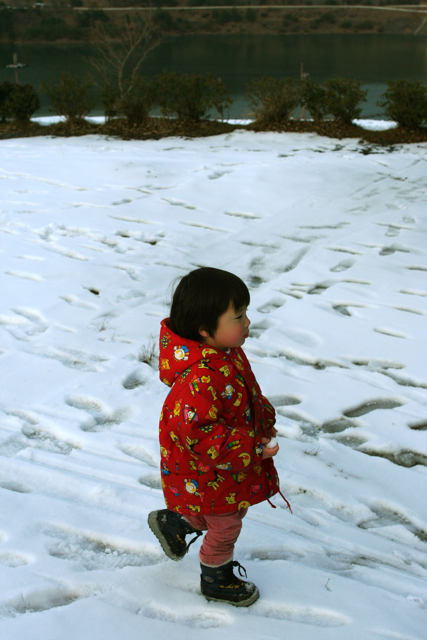 c0163369_12351075.jpg