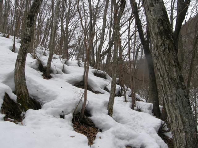 d0134473_1444084.jpg