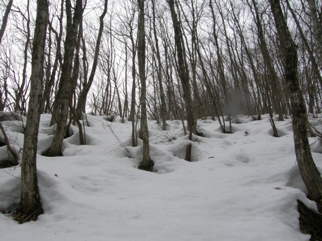 d0134473_1481915.jpg