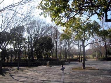 f0196374_18292088.jpg