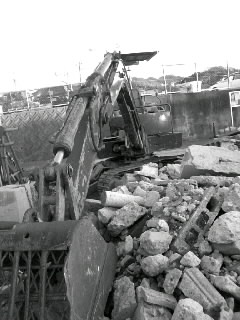 f0100480_2092037.jpg