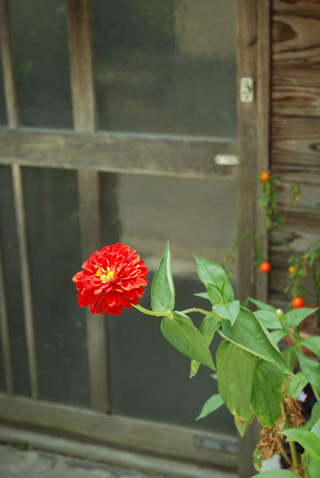 f0164282_1752286.jpg
