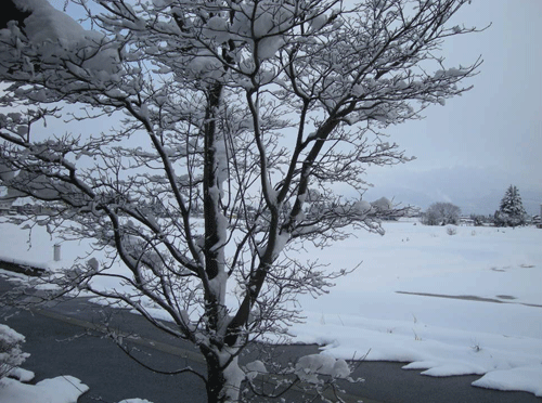 e0066883_21455483.gif