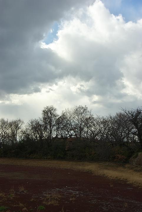 d0069495_21141793.jpg