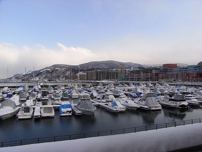 f0157901_2029557.jpg
