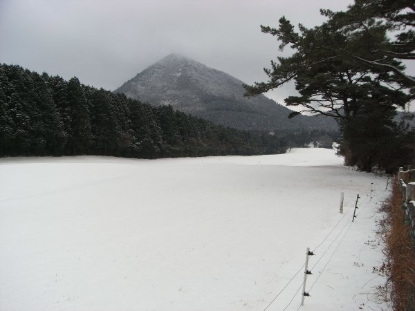 f0187402_22242454.jpg