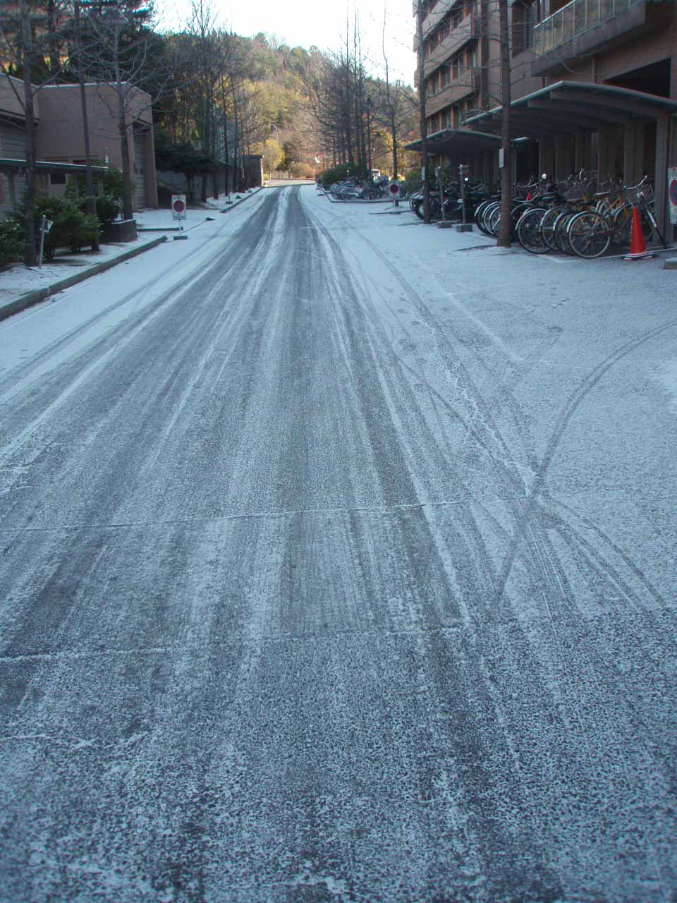 f0190009_1172957.jpg