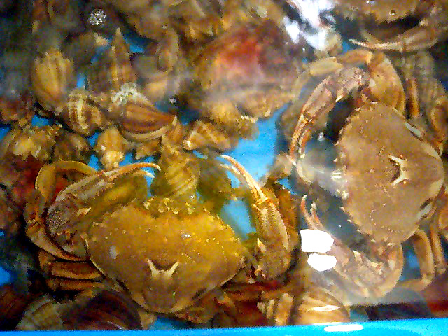 a0101715_444419.jpg