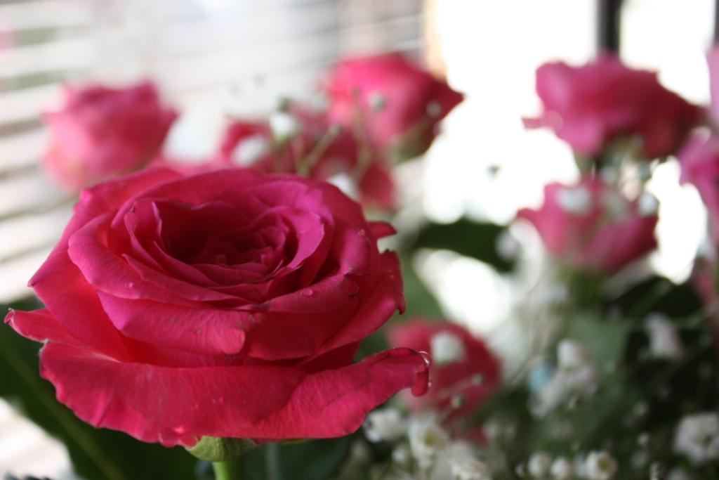 c0000816_1716389.jpg
