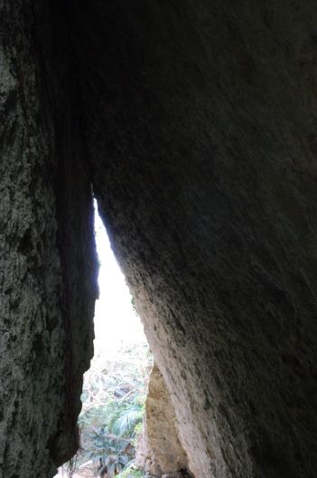 e0123920_10184728.jpg