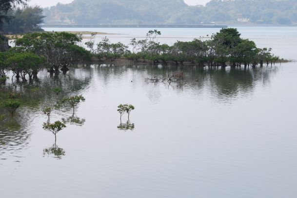e0123920_2358588.jpg