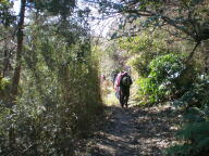 f0177521_13272314.jpg