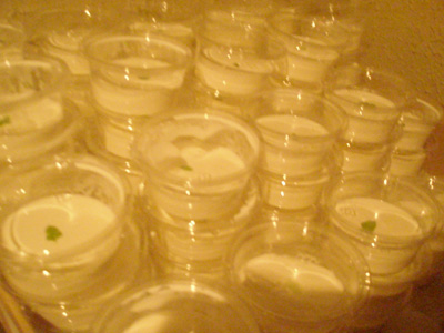 f0178726_22255793.jpg
