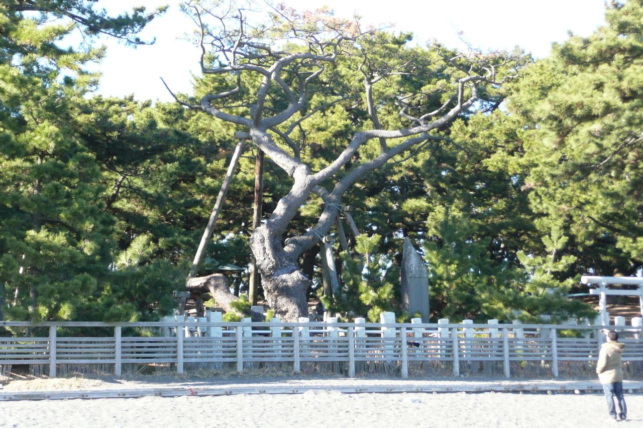 e0033229_1974191.jpg