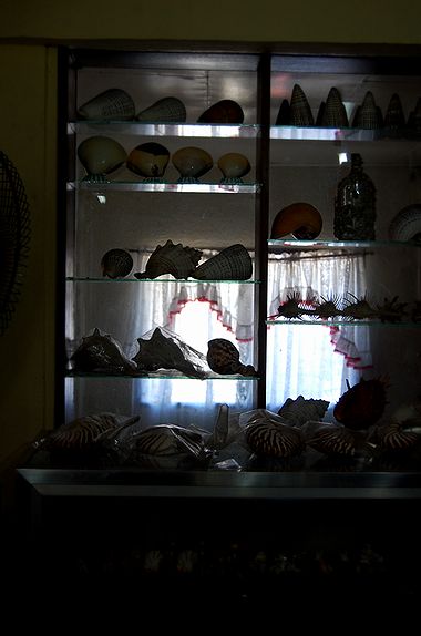 f0109734_814117.jpg