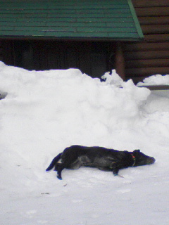 d0053940_2120554.jpg