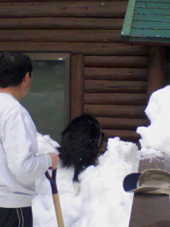 d0053940_2121338.jpg