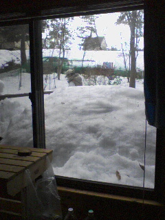 d0053940_21231945.jpg