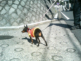 e0150843_18104211.jpg