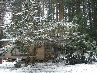 b0157246_21101935.jpg