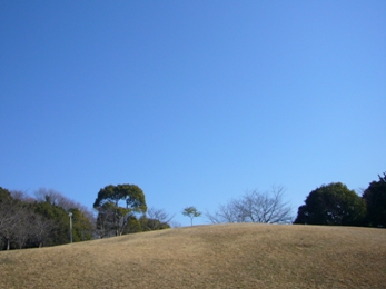 e0100046_161621.jpg