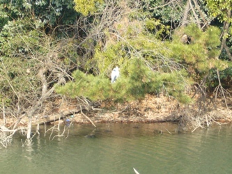 e0100046_1633412.jpg