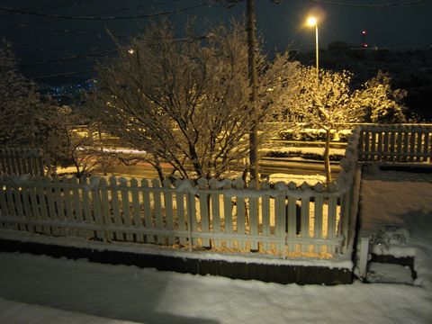 a0090451_0392982.jpg
