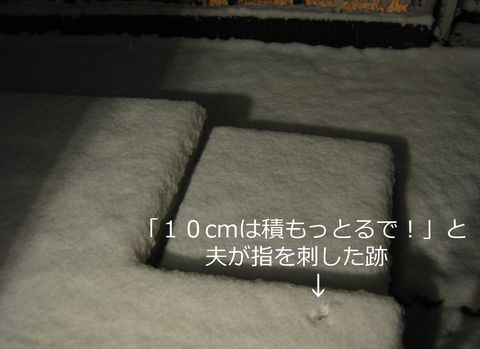 a0090451_0411819.jpg