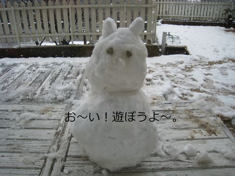 a0090451_2225141.jpg