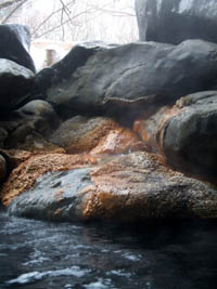 c0097856_3474463.jpg