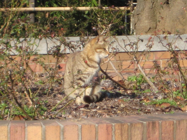 e0116960_2328352.jpg