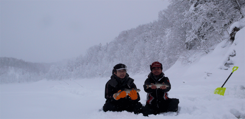 f0163063_1356316.gif