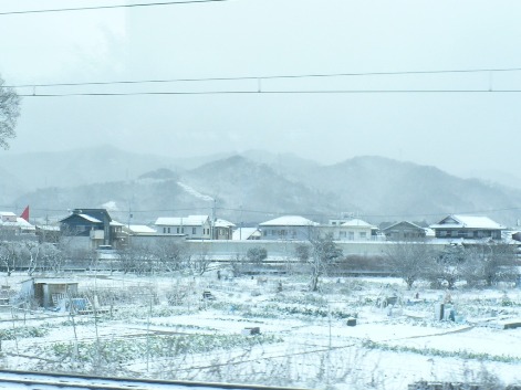 a0063364_2074059.jpg