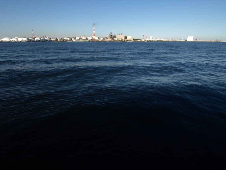 a0098864_18552358.jpg