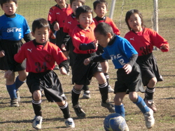 c0185364_20491056.jpg