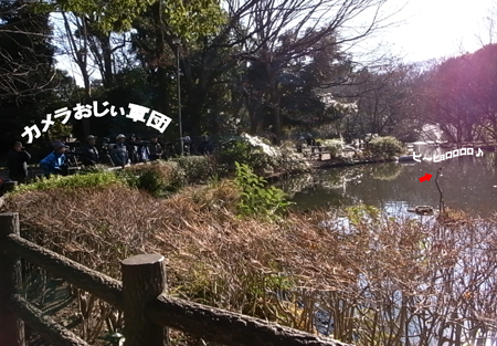 c0032567_1621637.jpg