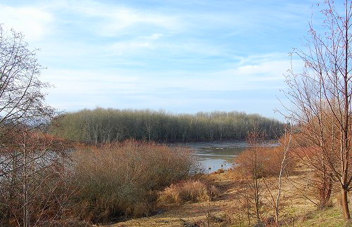 e0128367_6262279.jpg