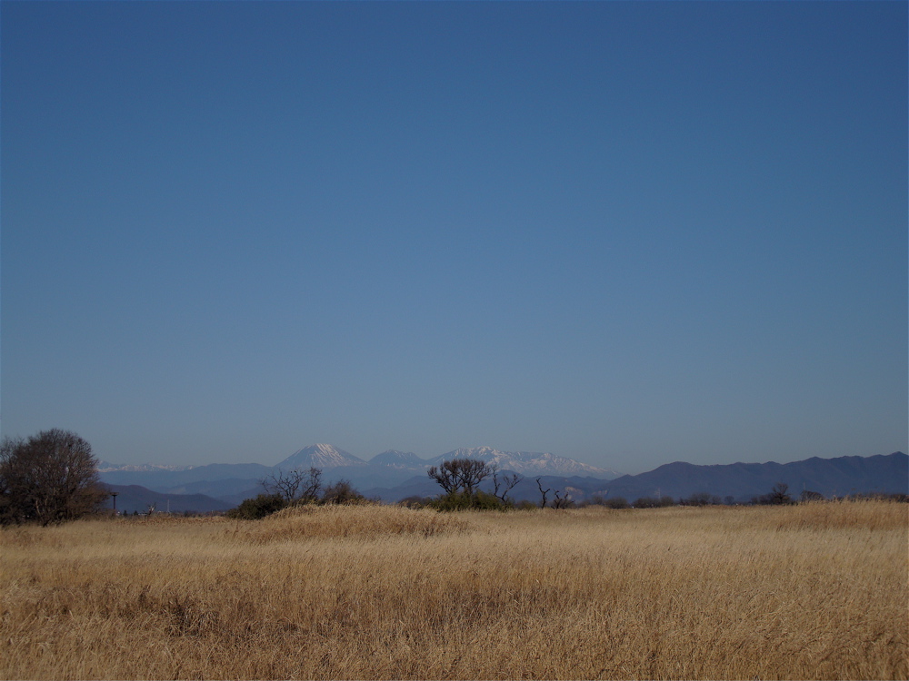 e0015377_20151436.jpg