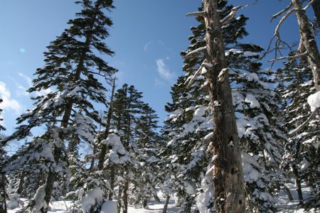 d0079579_20404821.jpg