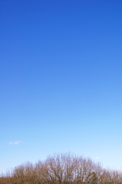 c0155680_212687.jpg