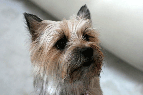 e0066883_2324183.gif