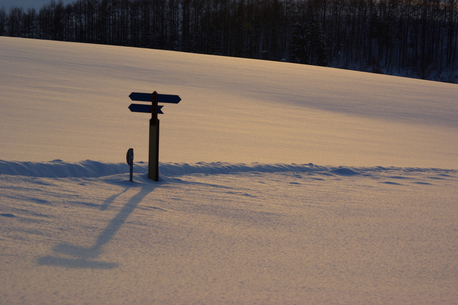e0051186_7262014.jpg