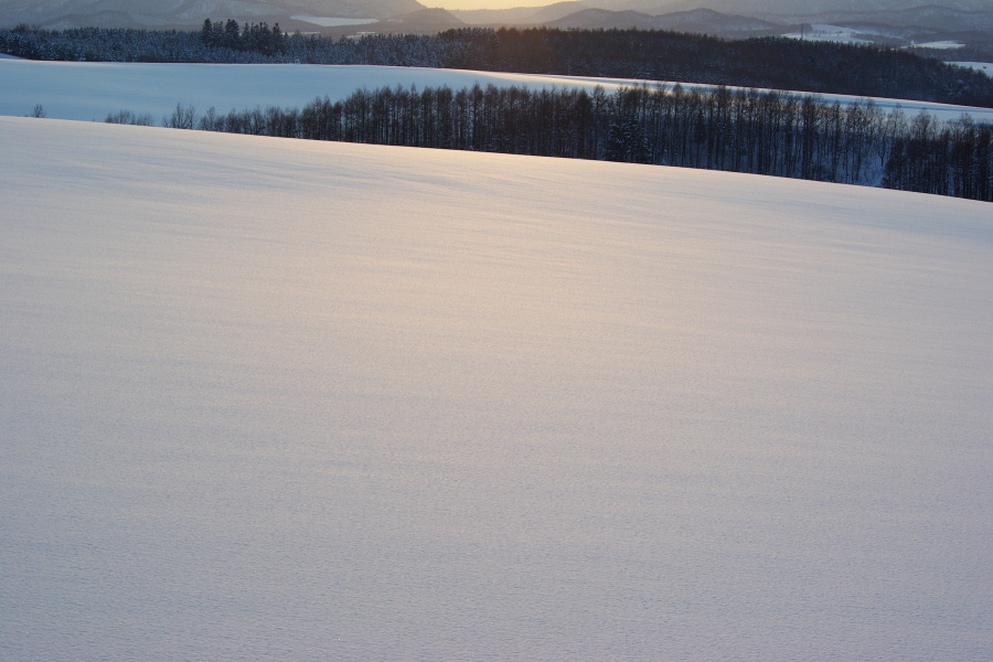 e0051186_7262910.jpg