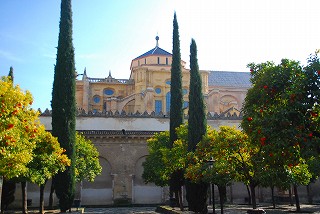 e0155786_6153586.jpg