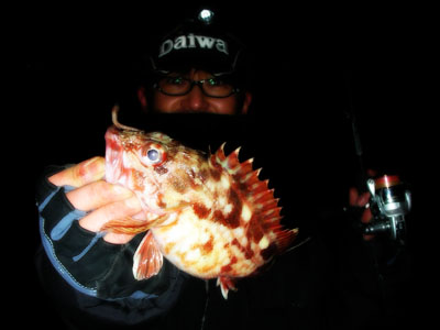 c0060593_14132512.jpg