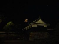 d0004195_12492663.jpg