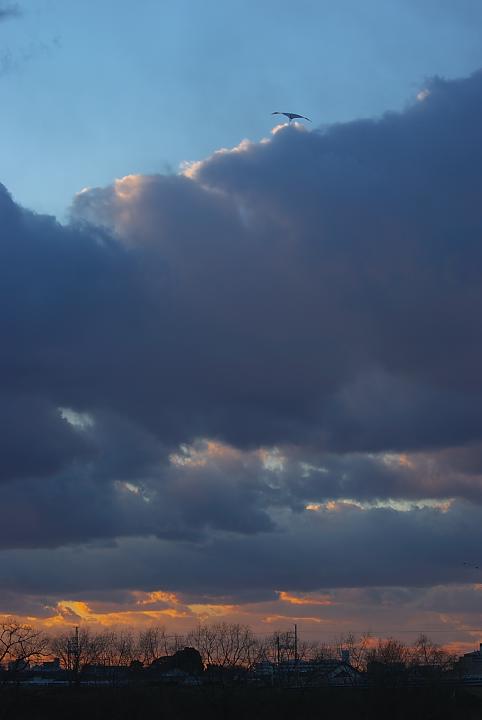 d0069495_19163334.jpg