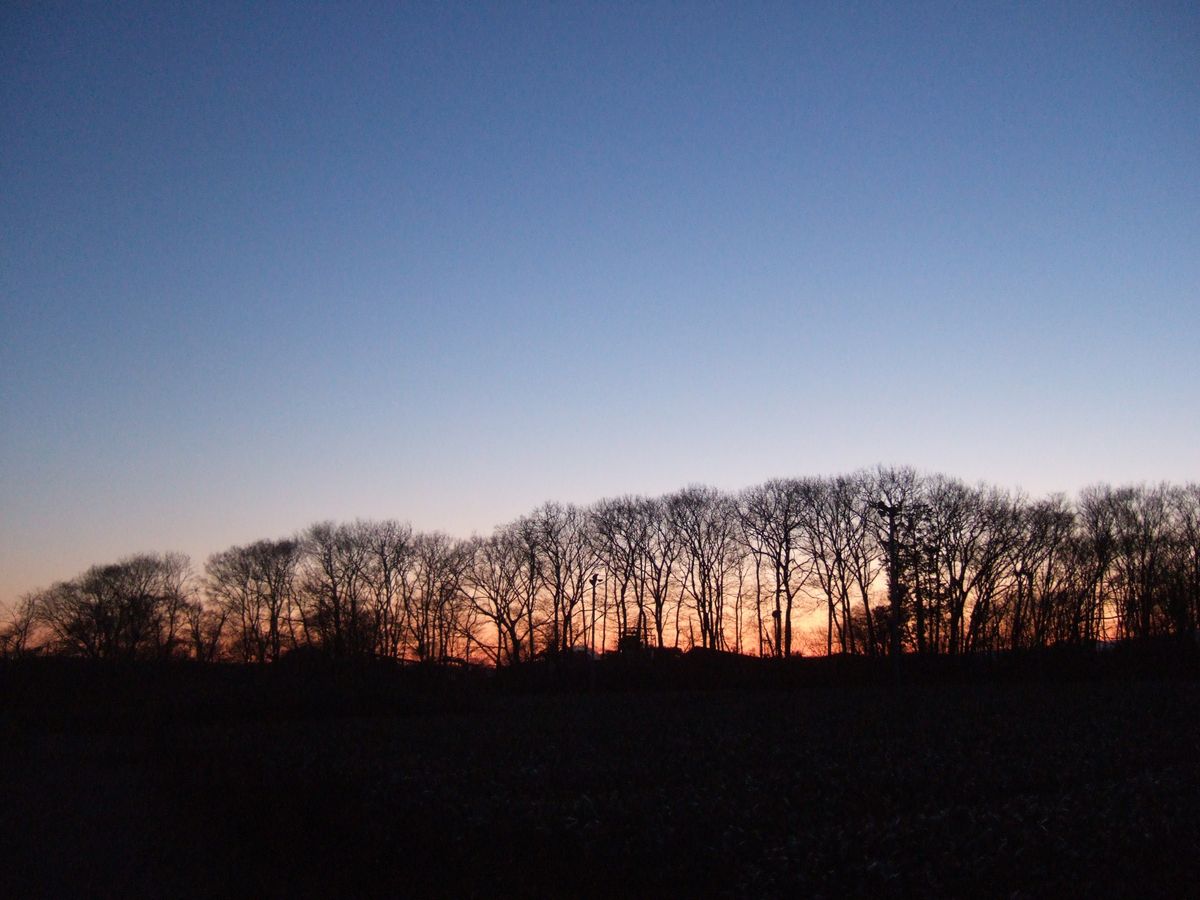 f0056698_2318467.jpg