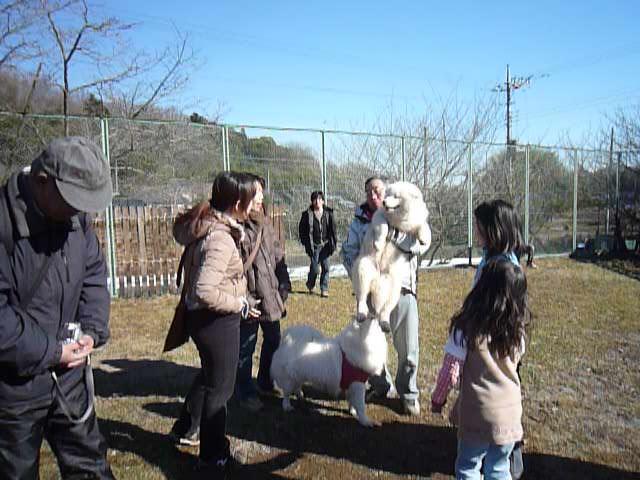 e0018604_9425471.jpg